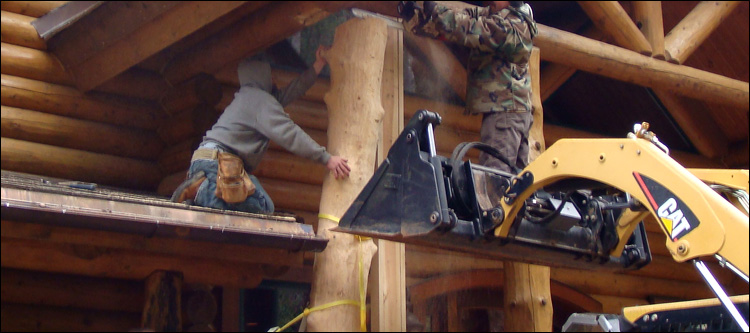 Log Home Log Replacement  Daleville, Virginia