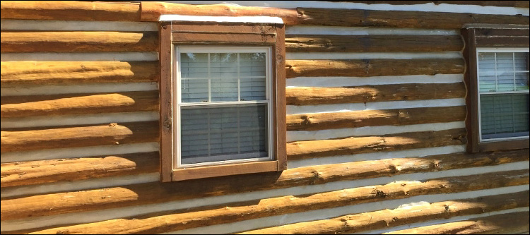 Log Home Whole Log Replacement  Fincastle, Virginia