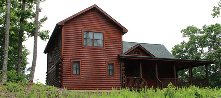 Professional Log Home Borate Application  Cloverdale, Virginia